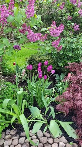 For Lease - 103 Glentworth Road, Toronto, Ontario - Photo 2