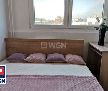 Mieszkanie na wynajem w bloku Polkowice - Zdjęcie 4
