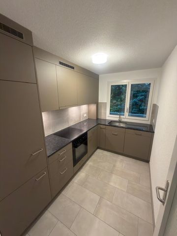 Rent a 3 rooms apartment in Hinwil - Photo 4