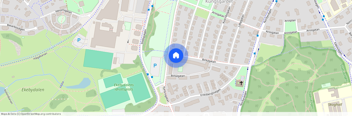 Birkagatan 24 B, 75239, Uppsala