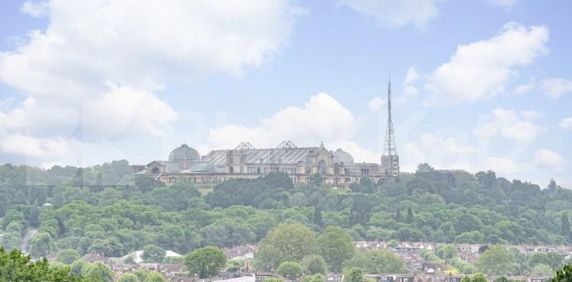 spectacular panoramic views a balcony and floor to ceiling windows - Photo 2