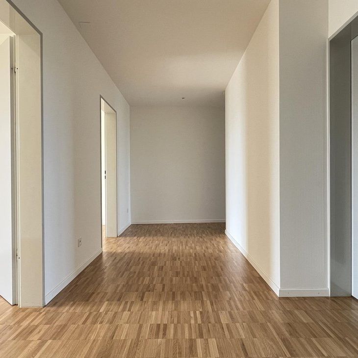 Lichtdurchflutete Wohnung am Stadtrand von Basel - Foto 1