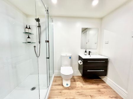 Beautiful Self Contained Studio - Photo 3