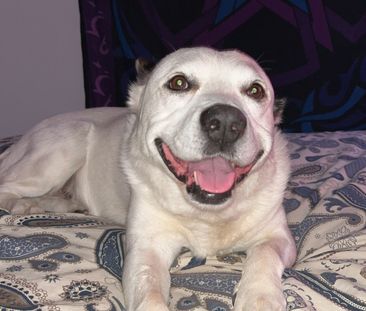 Andrews Farm - Photo 1