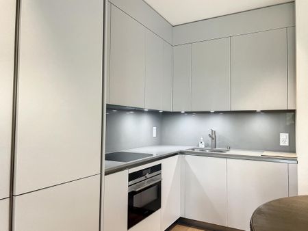 Beautiful furnished studio with garden - Photo 5