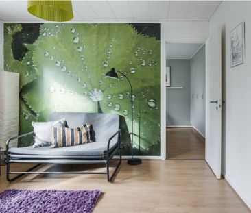 Tallvägen, Mellbystrand - Photo 6