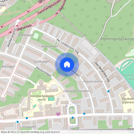 Hasselquistvägen, Johanneshov