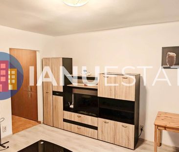 Titan 5` Metrou Liviu Rebreanu Nicoale Grigorescu Parc IOR PetFriendly - Fotografie 4