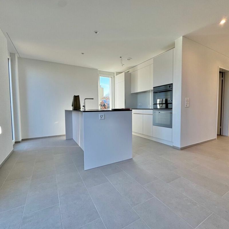 Frick / 3.5-room apartment with garden - Photo 1