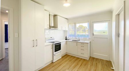 Recently Renovated Unit - Photo 3