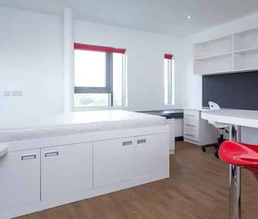 Studio Diamond - Photo 6