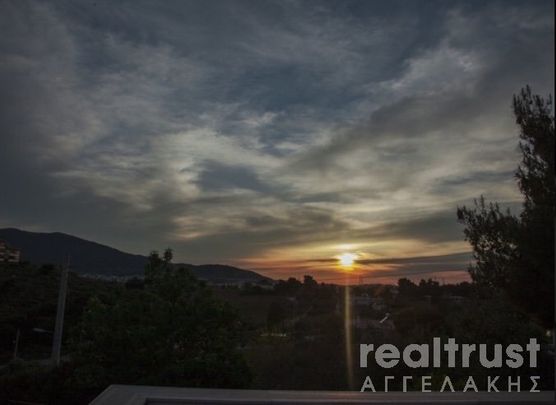 ΜΟΝΟΚΑΤΟΙΚΙΑ προς Ενοικίαση - Φωτογραφία 1