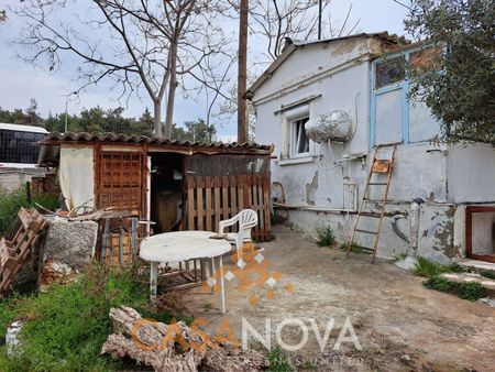 Μονοκατοικία για ενοικίαση Τριανδρία (Τριανδρία - Δόξα - Κρυονέρι) - Φωτογραφία 3