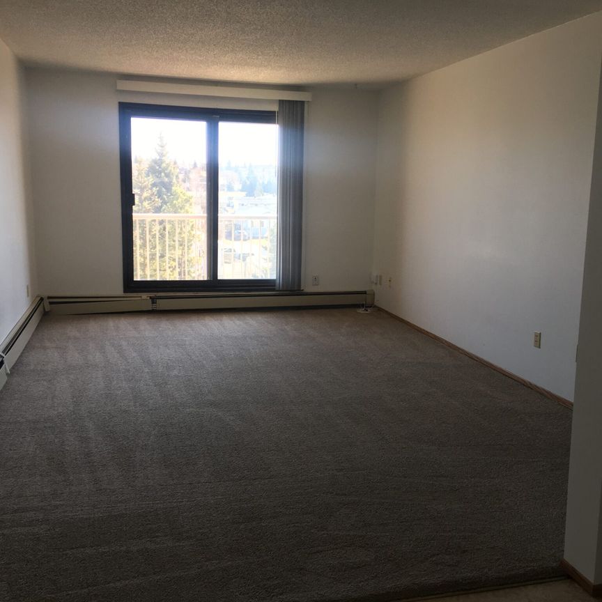 Totem II Apartments – 2 Bedroom - Photo 1