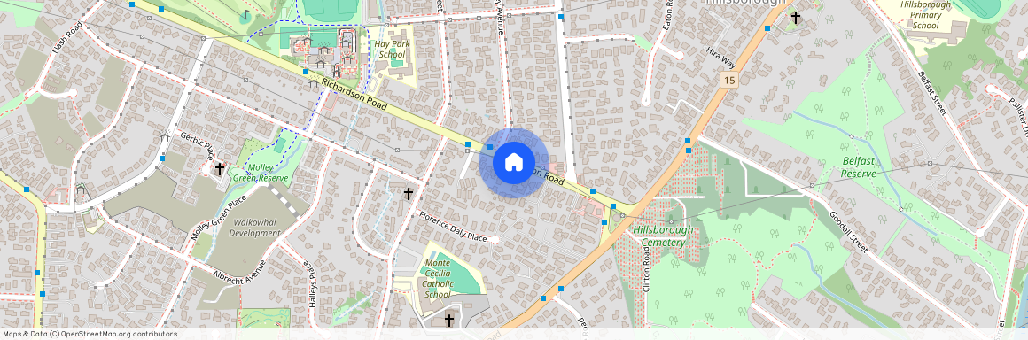 685 Richardson Road, Mount Roskill, Auckland City