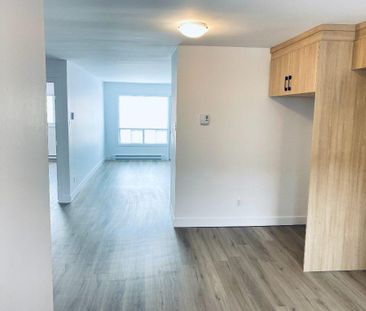 Logement 4.5 Sainte-Rosé rénové, tranquille - Photo 4