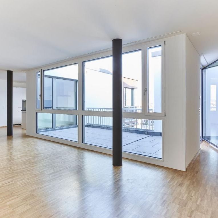 Hier beginnt Ihr neues Zuhause im Zürcher Freilager! - Foto 1