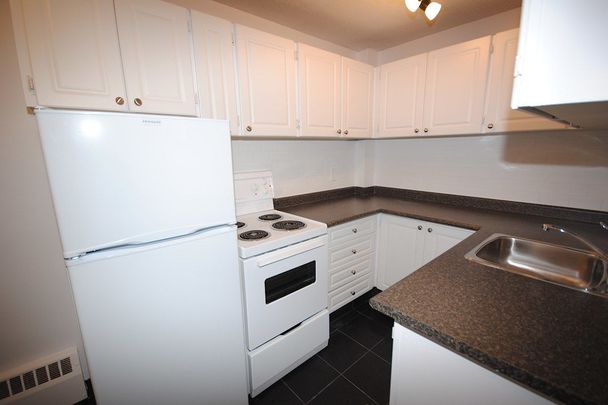 360 Frank Street, Centretown, Ottawa, ON - Photo 1