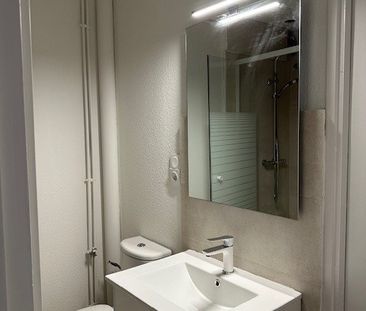 Location Appartement 1 pièce 23m² TOULOUSE 31000 - Photo 3