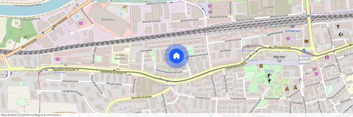 Steinwiesenstrasse 24, 8952, Schlieren