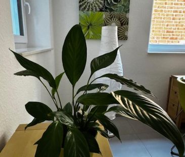 Möblierte 2-Zimmer-Wohnung in Blankenese - Photo 4