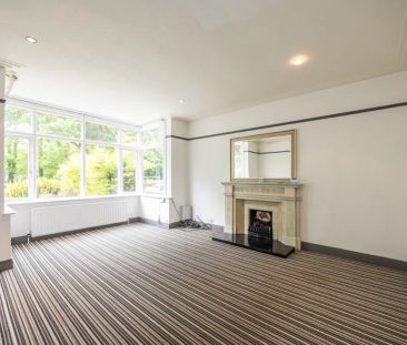 6 Upper Malone Road - Photo 3