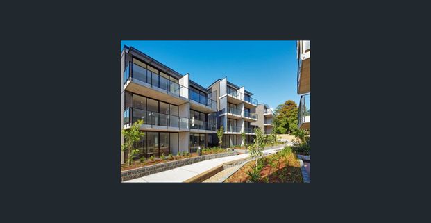 Allure Dee Why - Modern Two Bedroom Unit - Photo 1