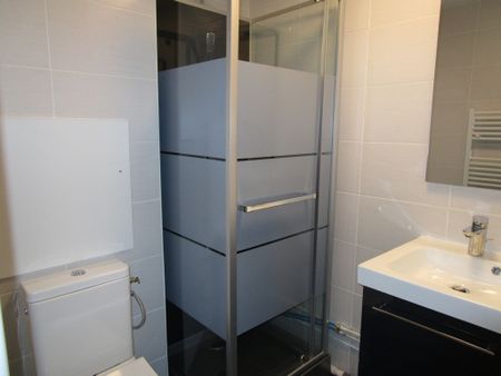 Location Appartement 1 pièce 17m² REIMS 51100 - Photo 3