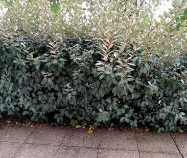 APPARTEMENT T1 BIS - QUARTIER ROUTE DE RENNES - SURFACE 39,07 M² - Photo 6