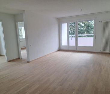 RENOVATED APARTMENT WITH BALCONY AND ELEVATOR - Foto 1