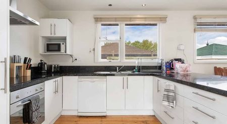 Sun-Filled Home in a Great Location - Photo 4