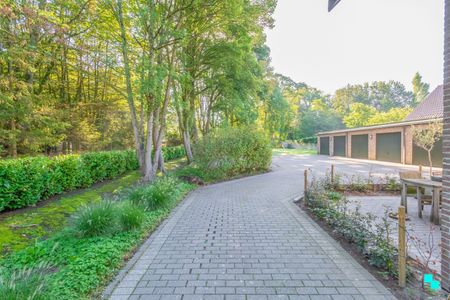 Dakappartement met zonnig terras en tuin - Foto 4