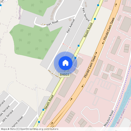 21 Trewyddfa Common, Morriston, Swansea