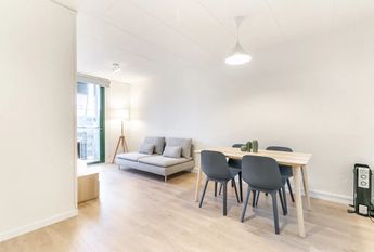 Carrer de Lope de Vega, Barcelona, Catalonia 08005