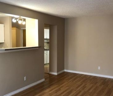 Amazing 2 Bedroom Apartment on Quiet Close!! - Photo 3