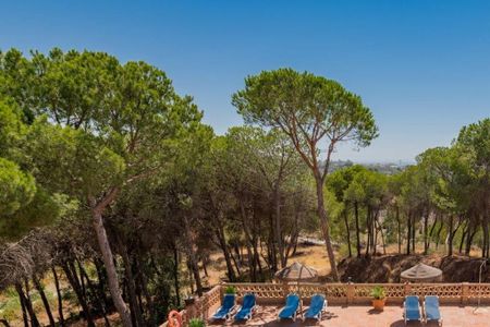 2 bedroom luxury Flat for rent in Nueva Andalucia, Andalusia - Photo 4