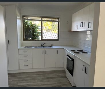 SECRET OASIS! - Photo 4