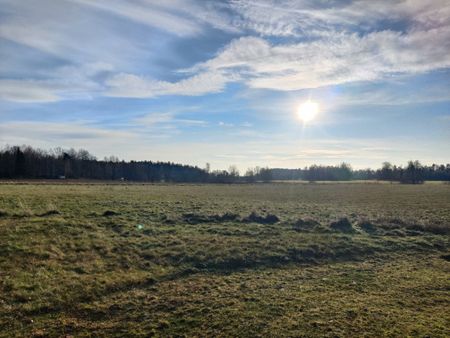 Ranstorp, Nossebro - Foto 2