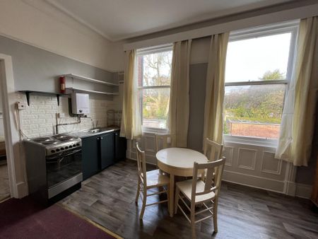 Flat 2 Woodhouse Cliff, Leeds, LS6 - Photo 5