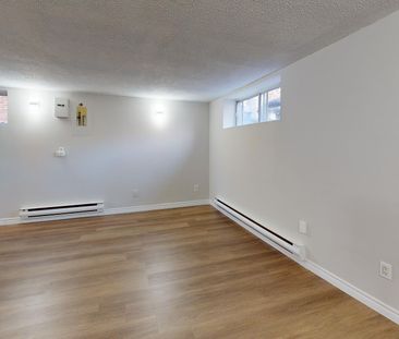 Spacious 1 bedroom - Photo 4