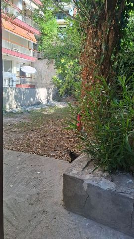 Διαμέρισμα για ενοικίαση Παναγία Φανερωμένη (Ξηροκρήνη - Παναγία Φανερωμένη) - Photo 2