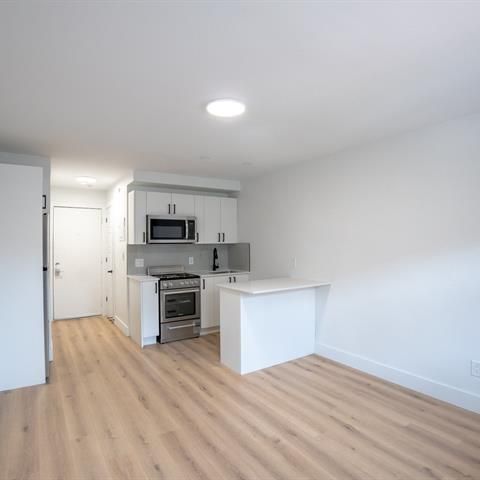 3915 Rue Masson - Photo 1