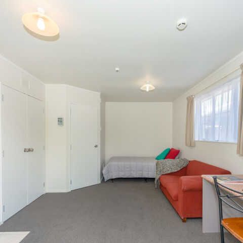 These fully furnished studio units have fresh carpet and paint, creating a bright, warm, and inviting space. - Photo 1