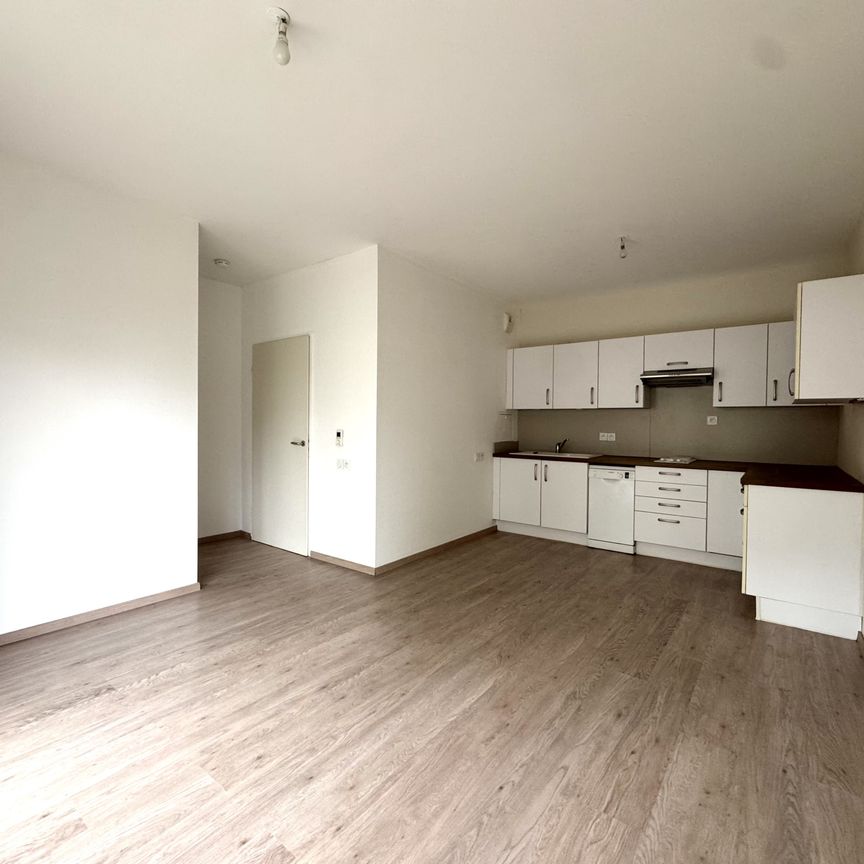 Location Appartement 2 pièces 44m² OBERHAUSBERGEN 67205 - Photo 1