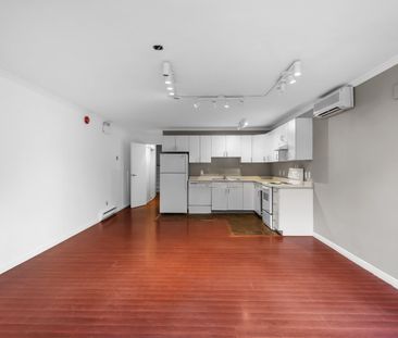 For Lease - 585 Annette Street Unit# Lower, Toronto, Ontario - Photo 4