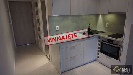 Do wynajęcia dwupokojowy apartament 32 m2 ul. Potulicka - Photo 2