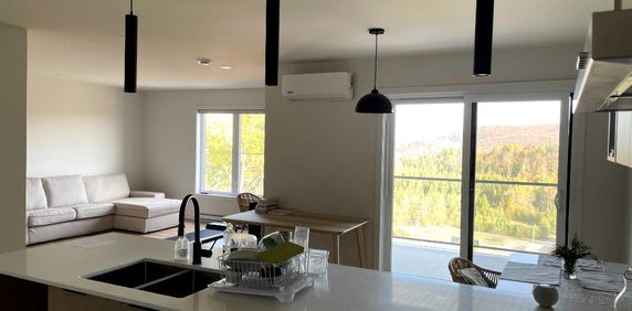 4 et demi quasi neuf à louer à Sainte-Agathe-des-Monts - Photo 2