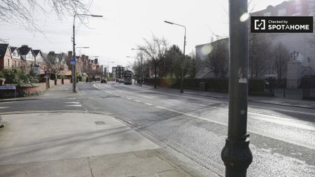 1-bedroom apartment for rent in Donnybrook, Dublin - Photo 4