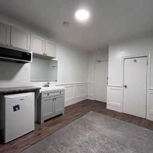 New York Apartments — Studio - SRO - Unit 29 - Photo 2