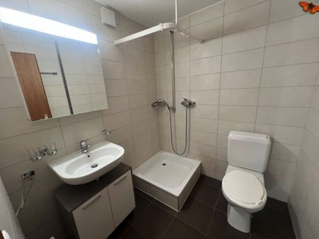 2 ½ pièces au Pâquier - Pour les amoureux de la nature ! - Photo 4
